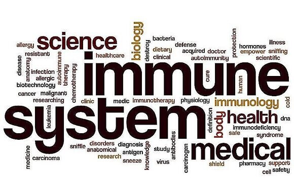Стимуляция иммунитета при вич