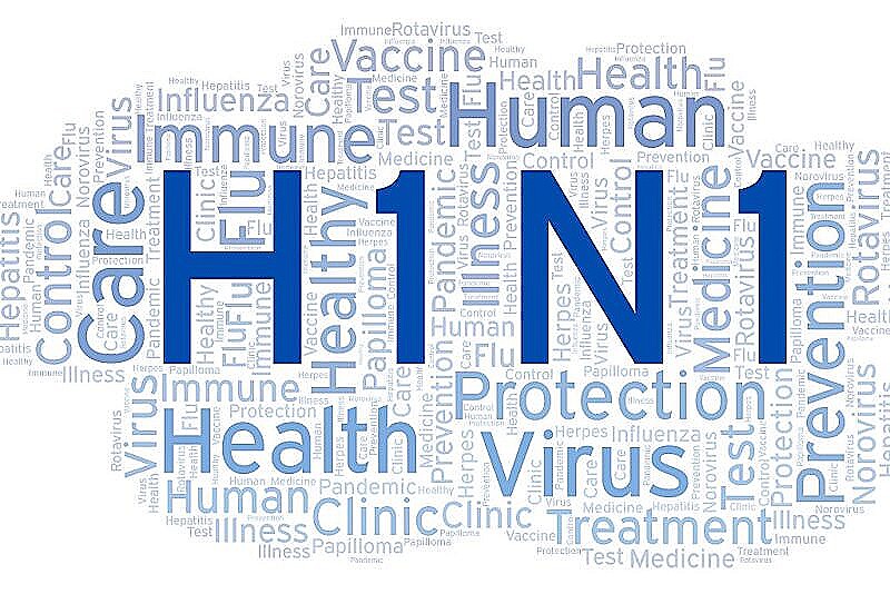Свиной грипп типа А (H1N1)