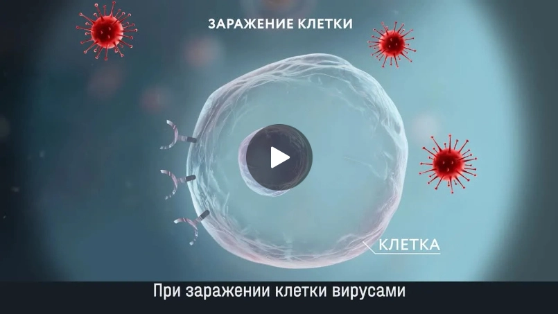 Способы передачи вирусов у детей-1