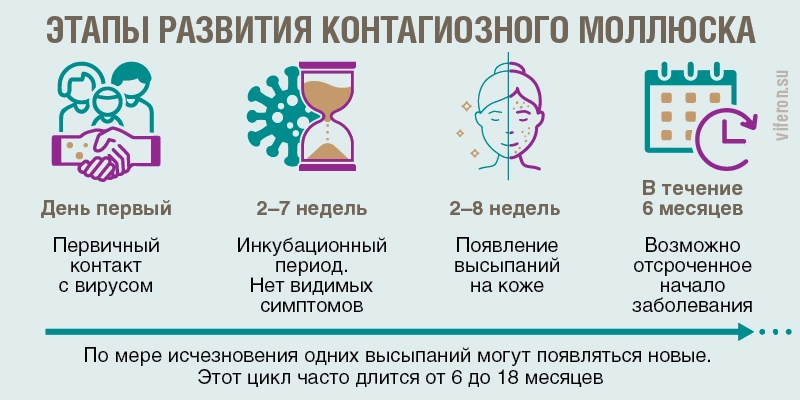 Контагиозный моллюск - причины, лечение и профилактика