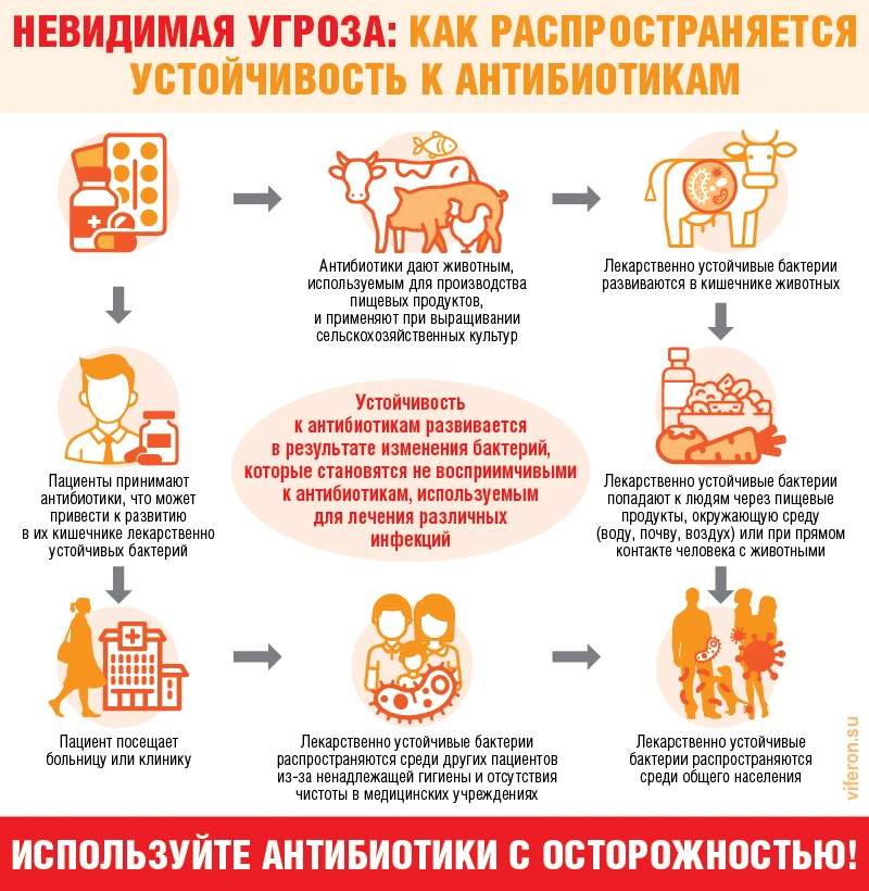 Устойчивость к антибиотикам