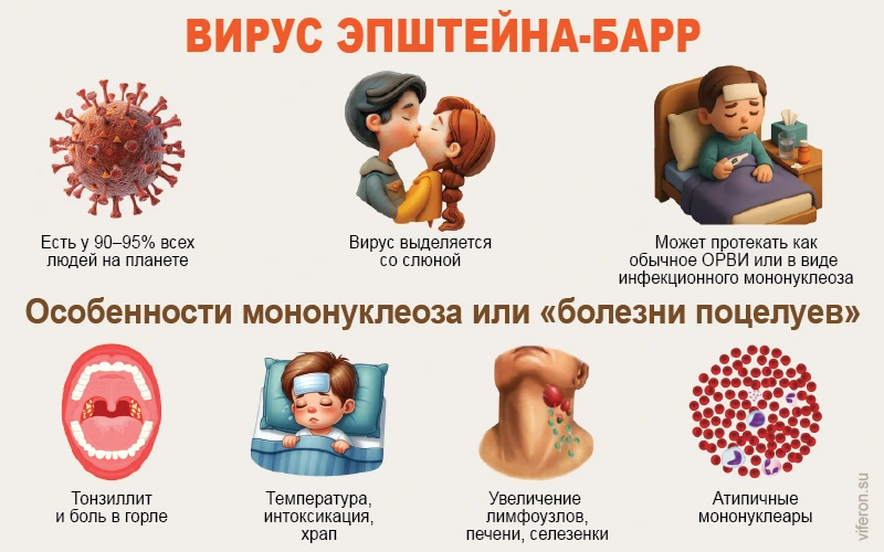 Что такое инфекционный мононуклеоз?