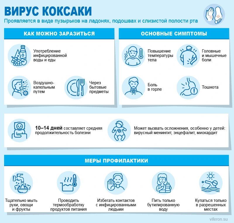 Вирус коксаки у детей и взрослых: симптомы, профилактика и роль противовирусной терапии