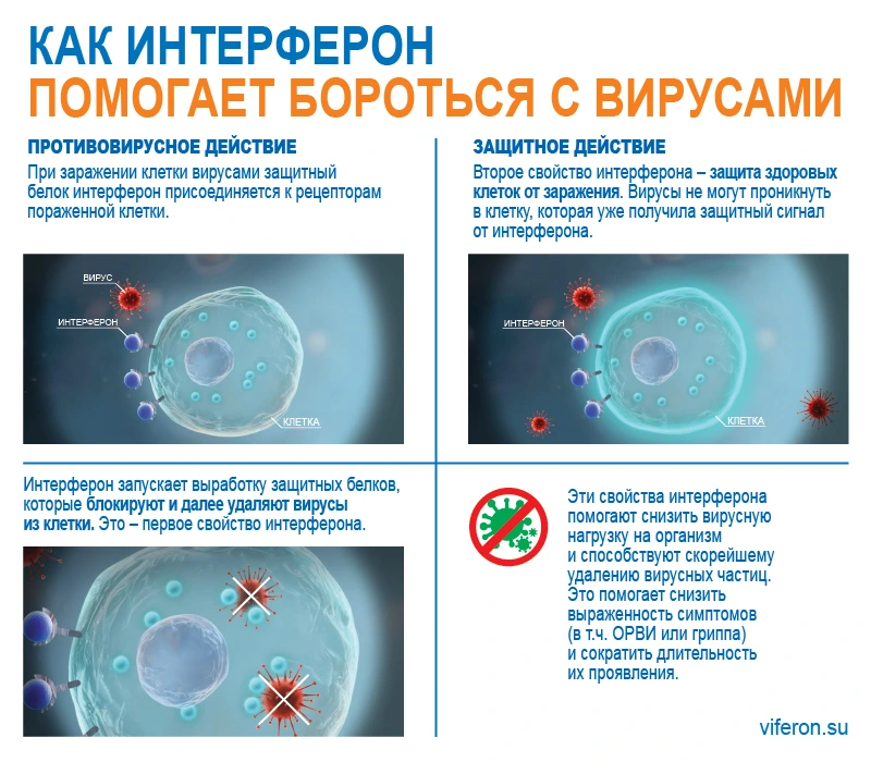 ВИФЕРОН: инструкция – как читать раздел «Показания и противопоказания» и что из этого важно для пациента