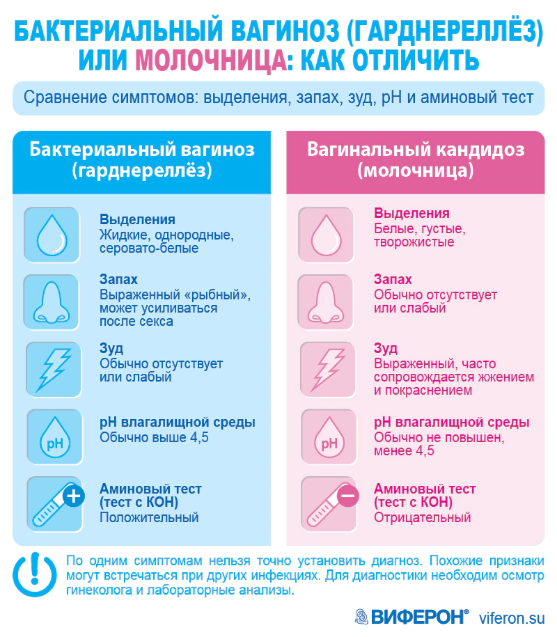 Гарднереллез - симптомы, диагностика и лечение