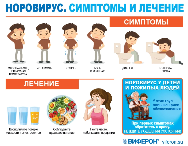 Норовирус (норовирусная инфекция) - симптомы и лечение