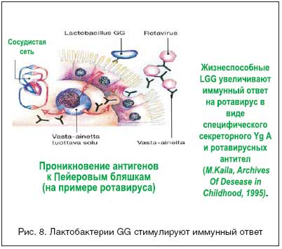 Коррекция нарушений местного иммунитета при дисбиозе кишечника у детей-8