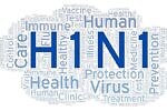 Свиной грипп типа А (H1N1)-1